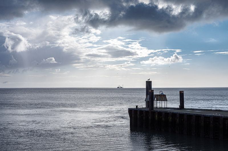 Blick von der Reede auf Borkum über das Wattenmeer